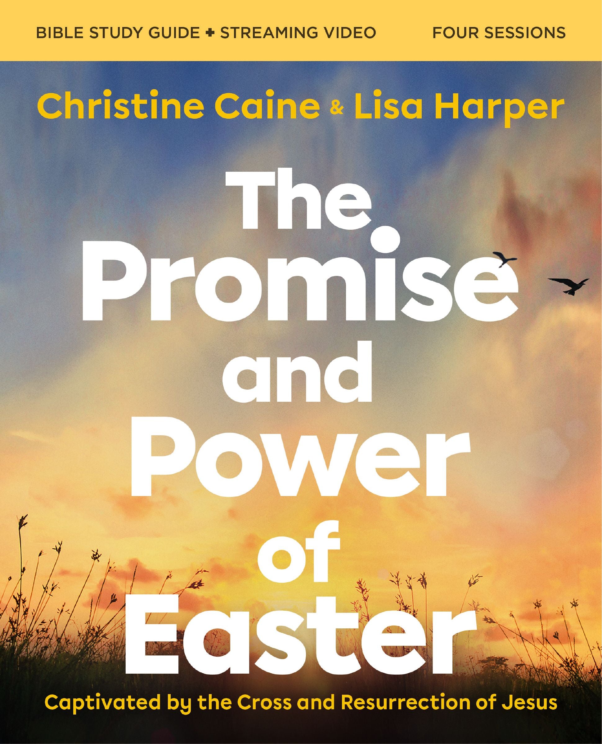 The Promise and Power of Easter (Bible Study Guide plus Streaming Video): Remembering the Reason for Jesus’ Resurrection