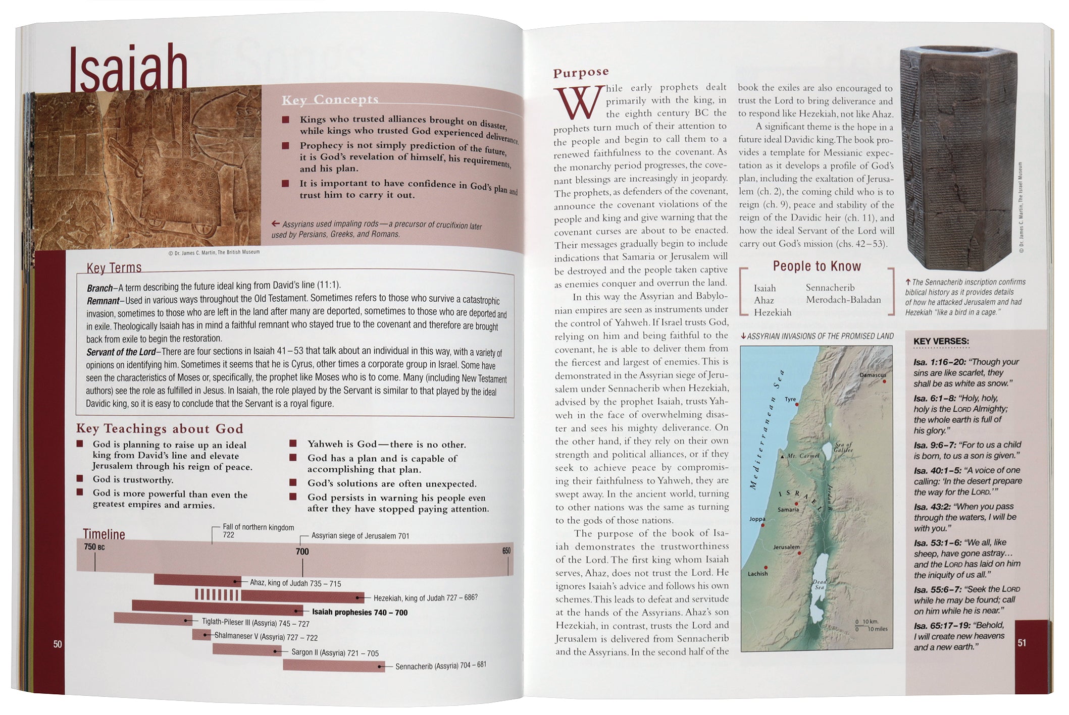 The Essential Bible Companion: Key Insights for Reading God’s Word (NIV Application Commentary Resources Series)