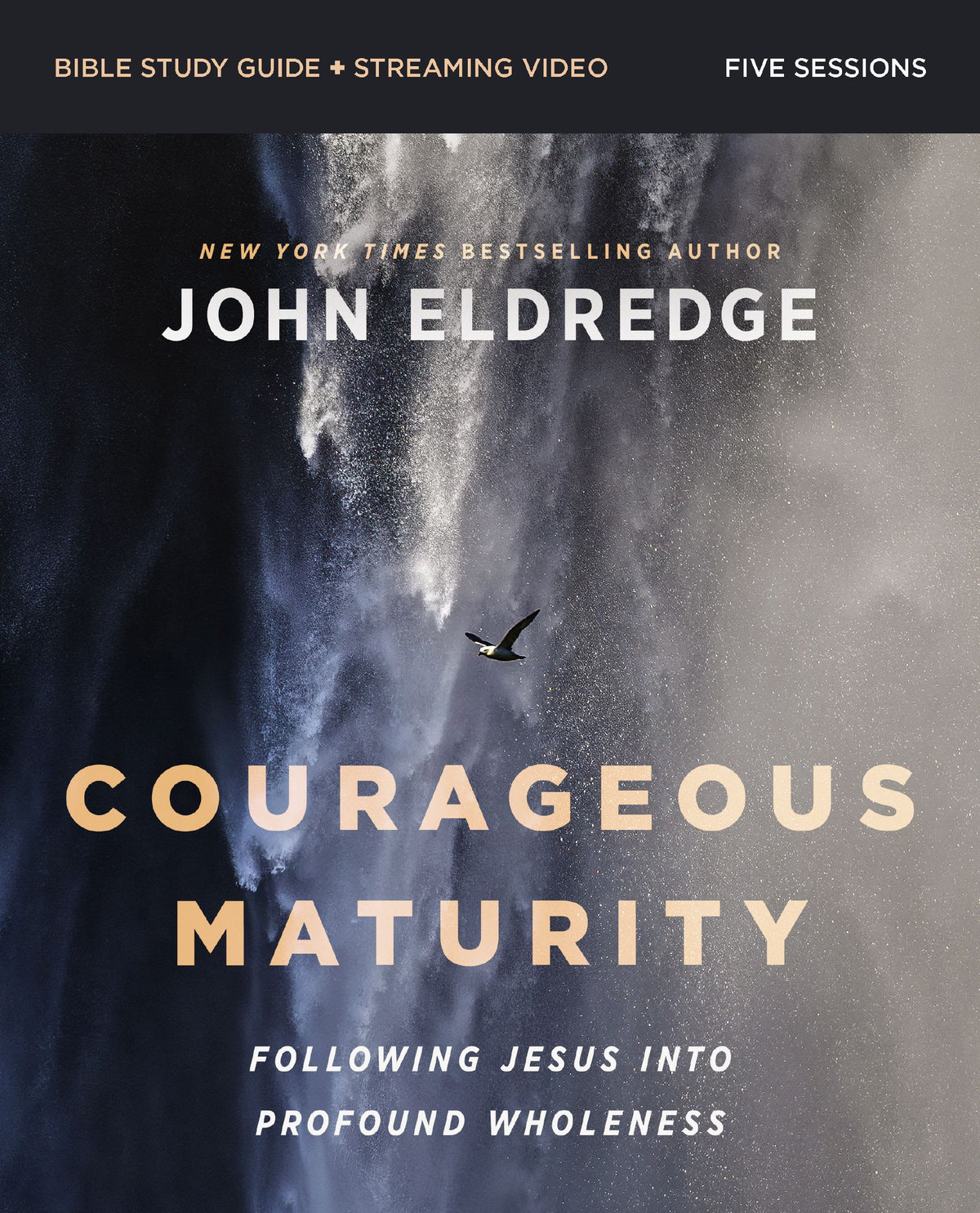Courageous Maturity (Bible Study Guide plus Streaming Video): The Surprising Wholeness of Following Jesus
