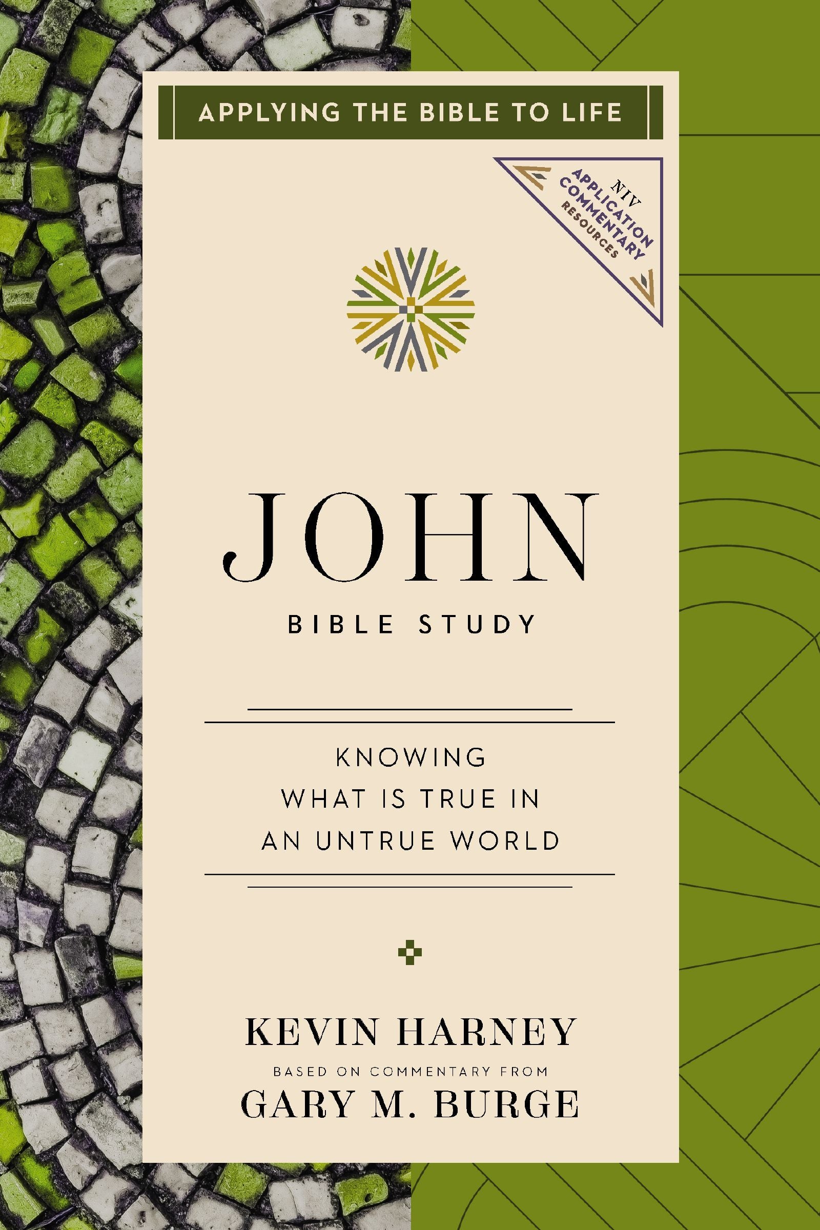 John Bible Study: Knowing What Is True in an Untrue World (NIV Application Commentary Resources Series)