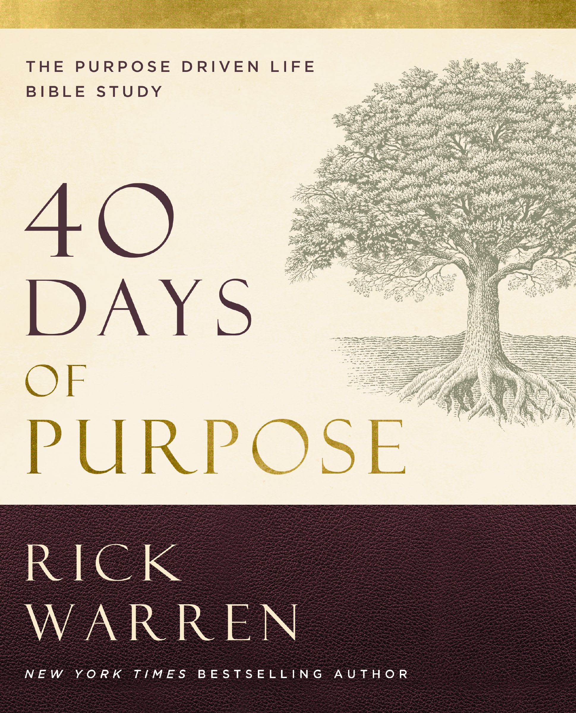 40 Days of Purpose: The Purpose Driven Life Bible Study