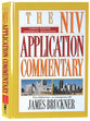 Jonah/Nahum/Habakkuk/Zephaniah (Niv Application Commentary Series)