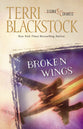 Broken Wings (Second Chances Series)