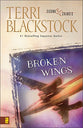 Broken Wings (Second Chances Series)