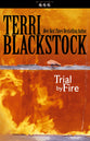 Trial By Fire (#04 in Newporte 911 Series)