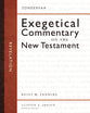 Revelation (#66 in Zondervan Exegetical Commentary Series On The New Testament)