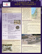 A Survey of the New Testament (6 Laminated Sheets)