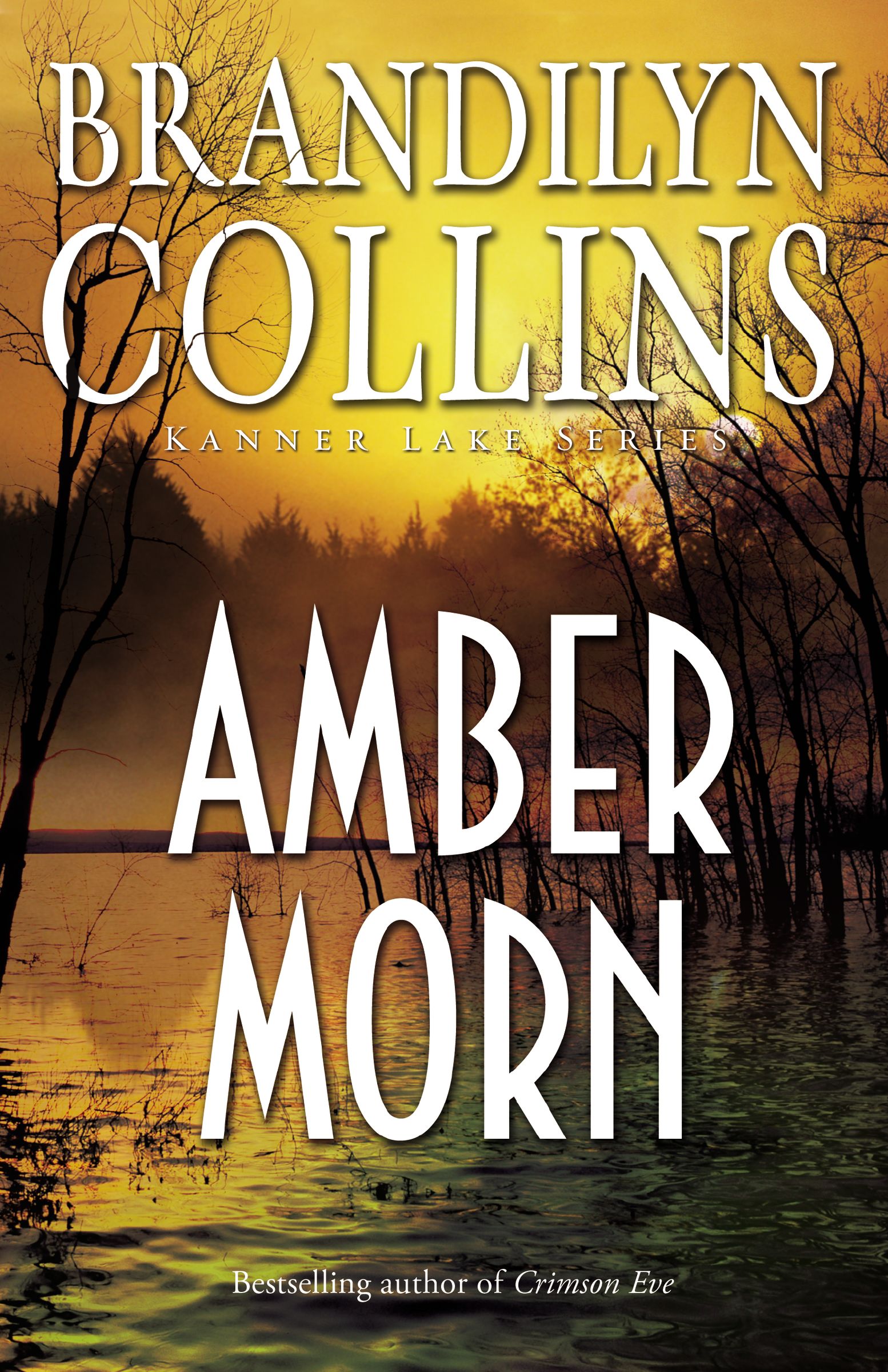 Amber Morn (#04 in Kanner Lake Series)