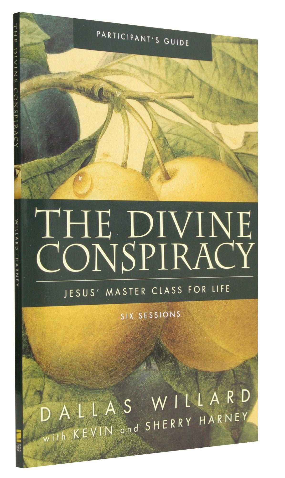 The Divine Conspiracy (Participant's Guide)