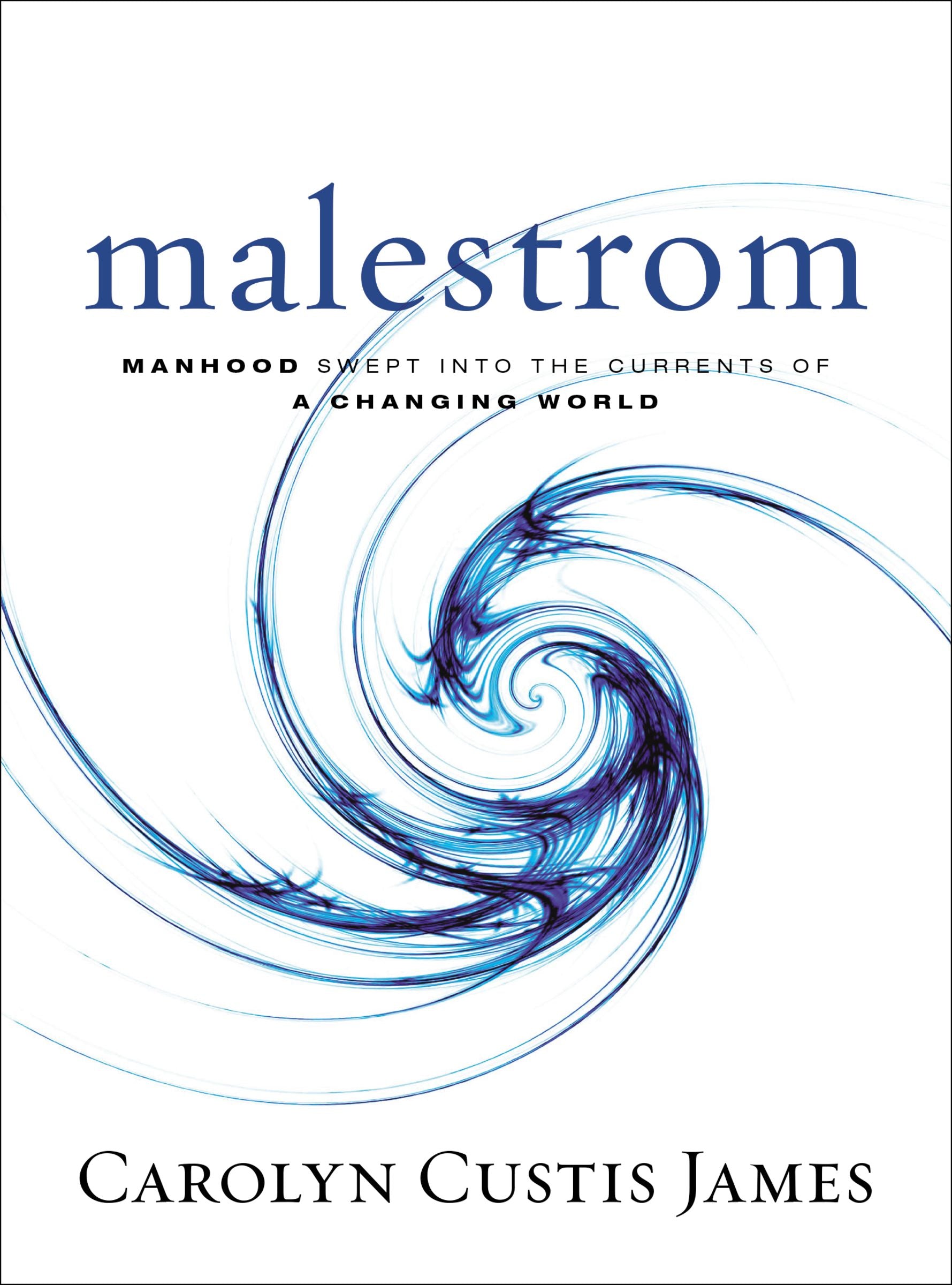 Malestrom: Manhood Swept Into the Currents of a Changing World