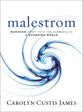 Malestrom: Manhood Swept Into the Currents of a Changing World