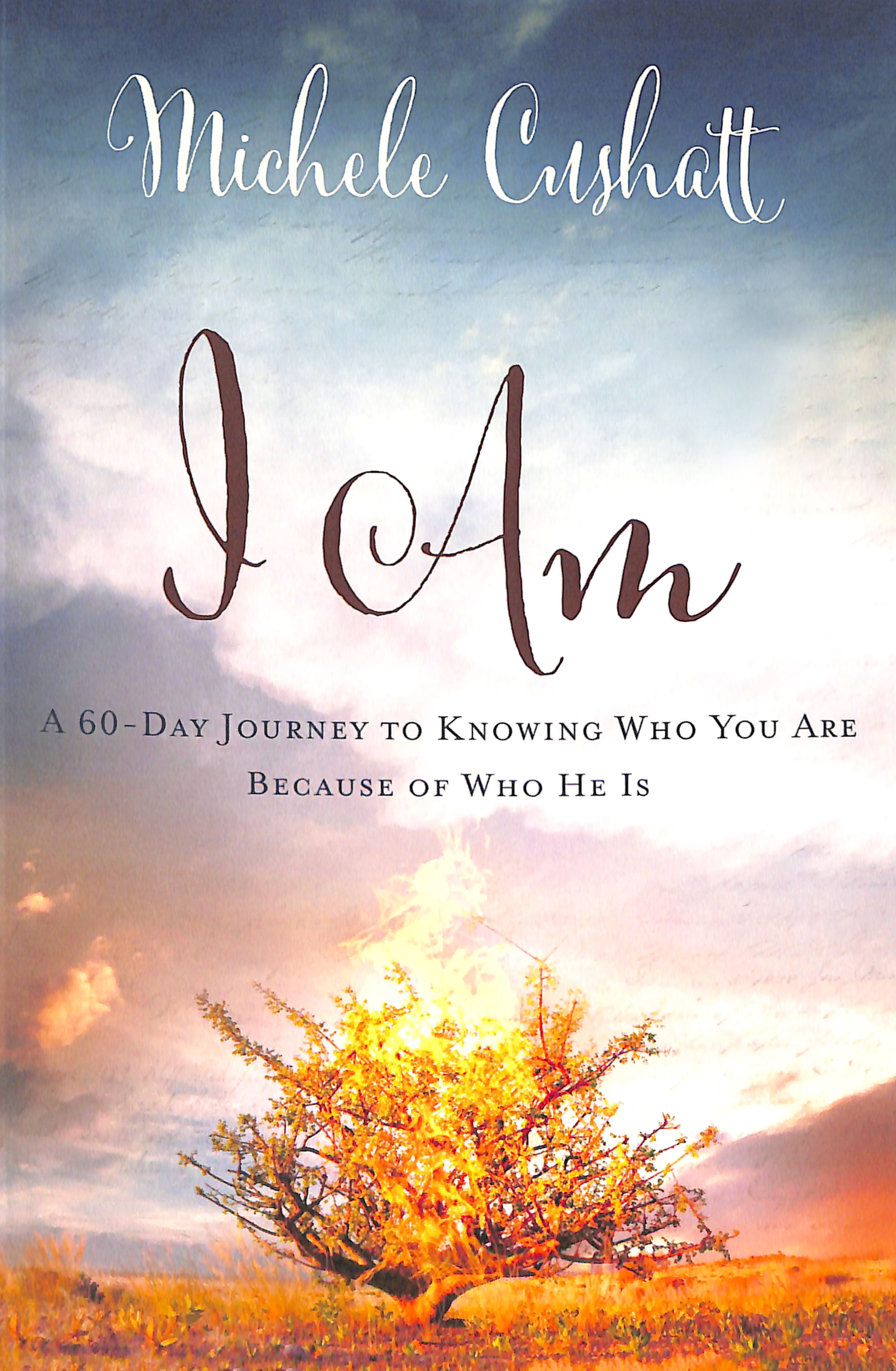 I Am: A 60-Day Journey to Knowing Who You Are Because of Who He is