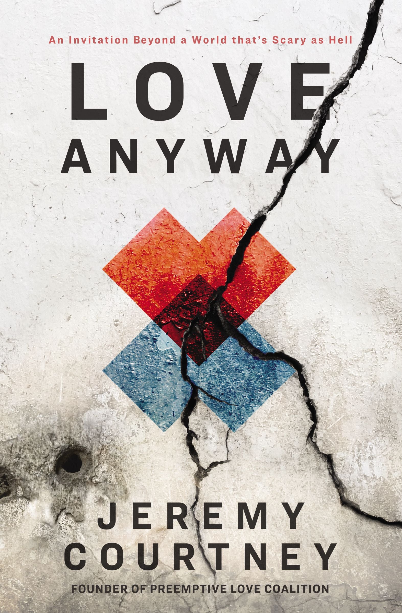 Love Anyway: A Journey From Hope to Despair and Back in a World That's Scary as Hell