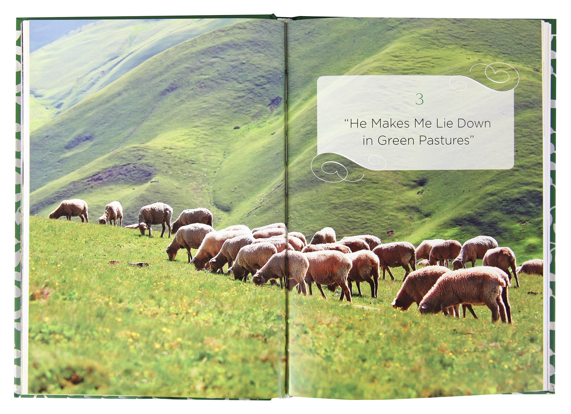 A Shepherd Looks At Psalms 23 (Illustrated) (Timeless Faith Classics Series)