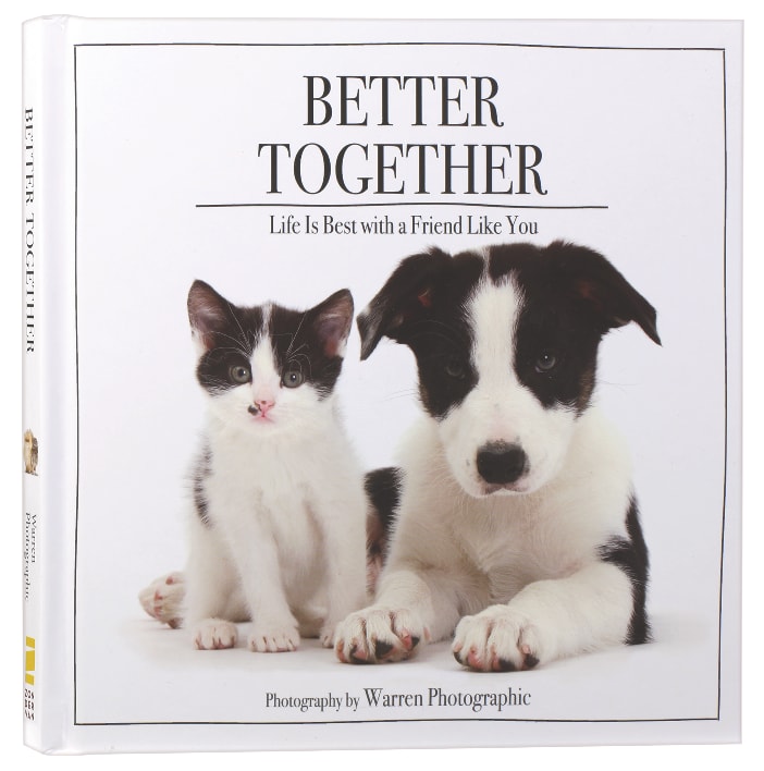 Better Together: Life is Best With a Friend Like You