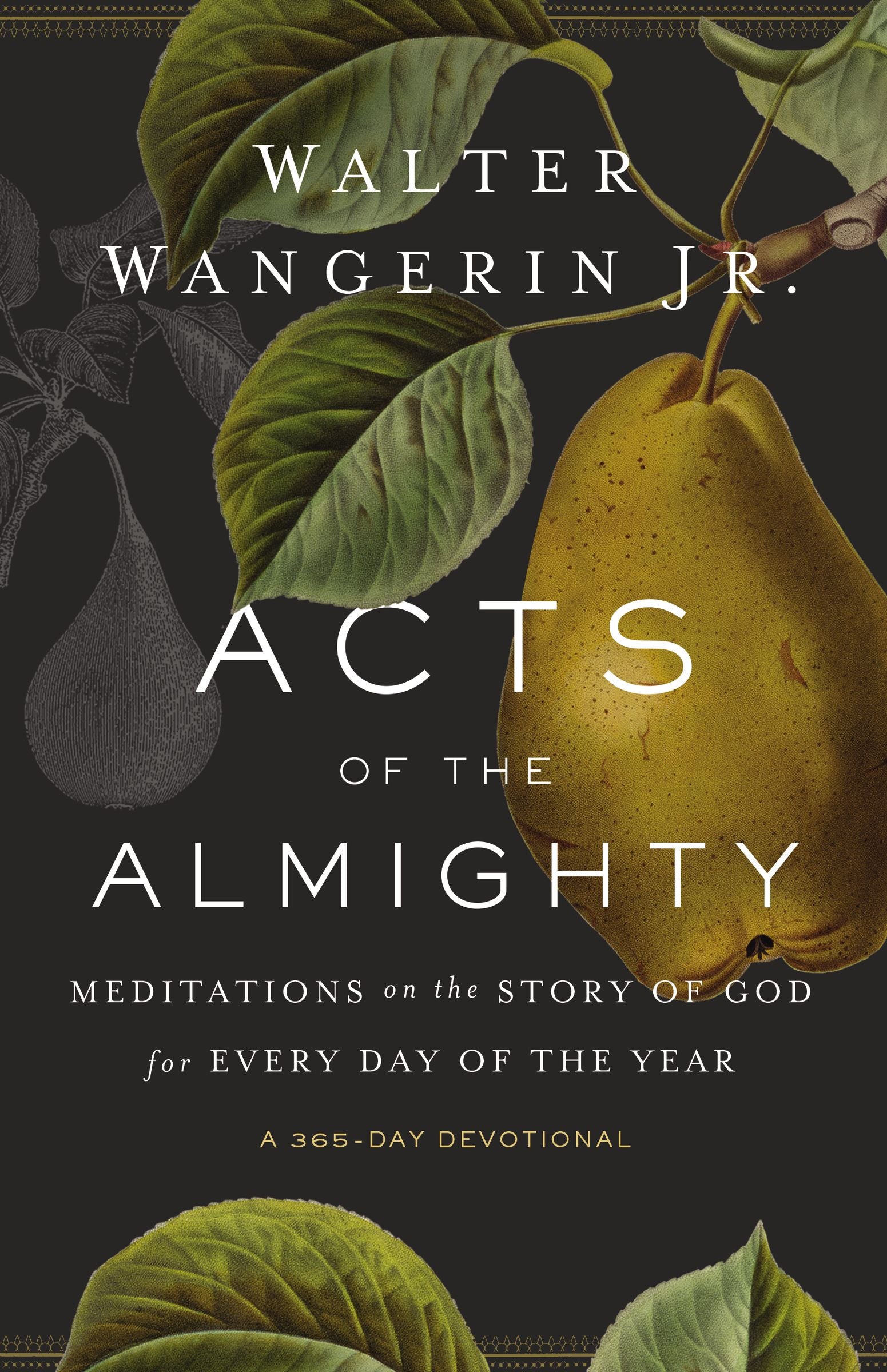 Acts of the Almighty: Meditations on the Story of God For Every Day of the Year