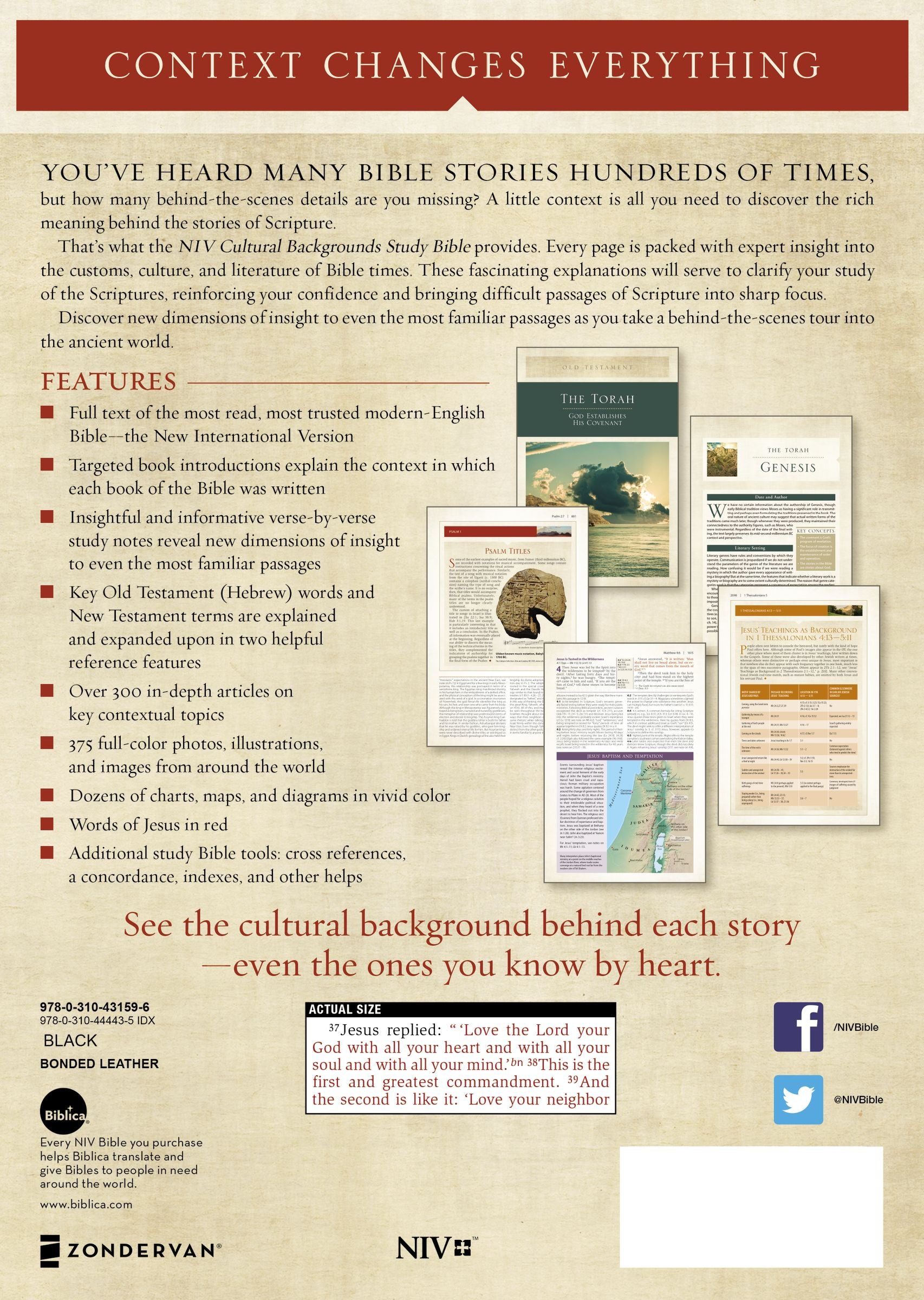 NIV Cultural Backgrounds Study Bible Black Red Letter Edition