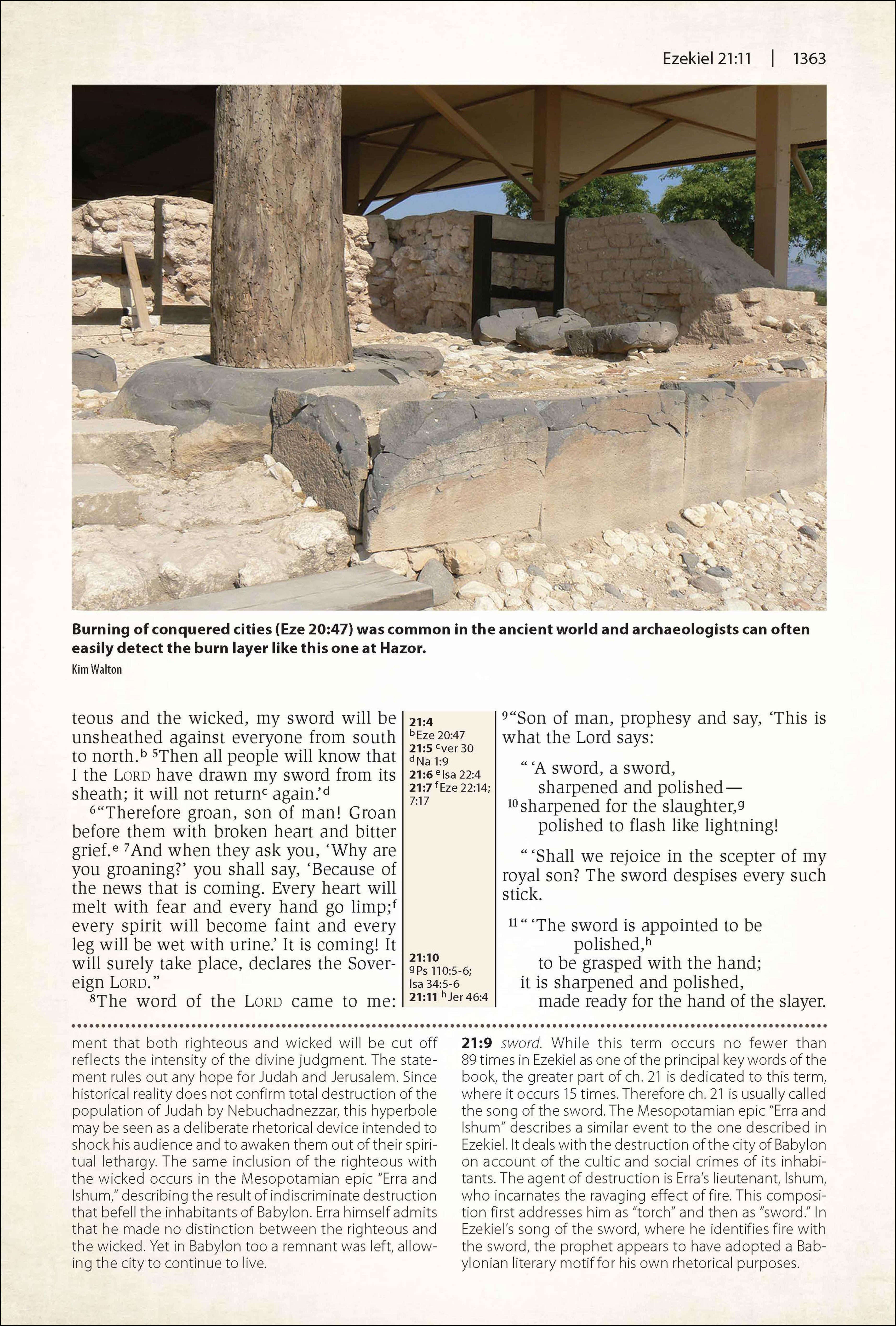 NIV Cultural Backgrounds Study Bible Black Red Letter Edition