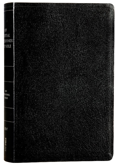 NIV Cultural Backgrounds Study Bible Black Red Letter Edition