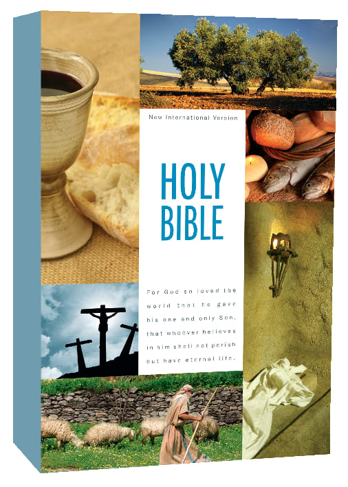 NIV Holy Bible Textbook Edition (Black Letter Edition)