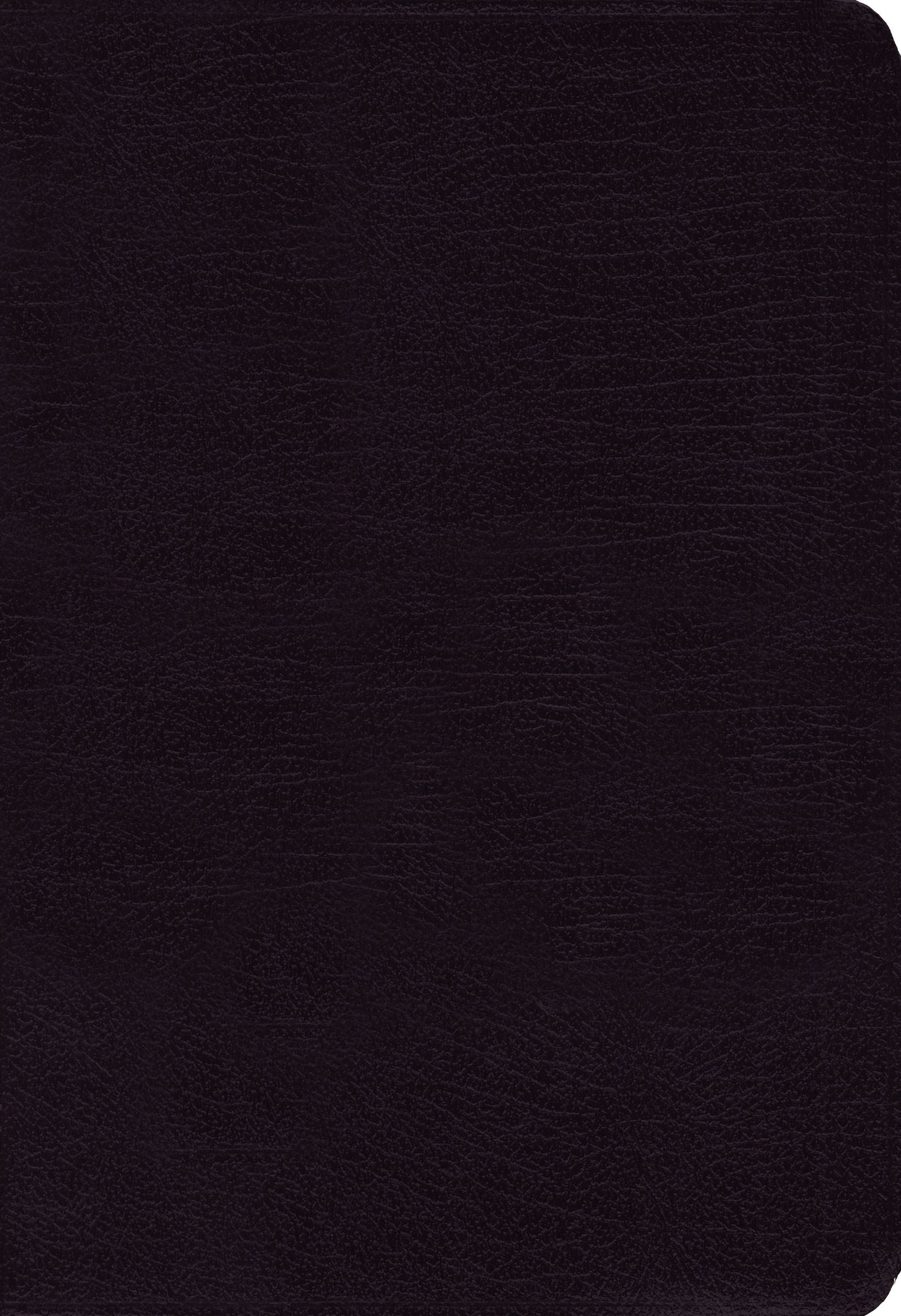 Niv/Message Side-By-Side Bible Large Print Black (Black Letter Edition)