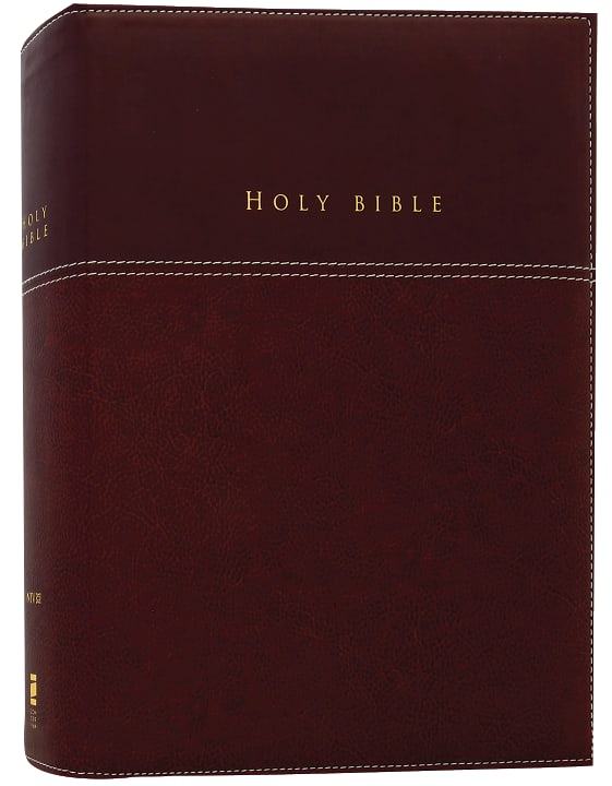 NIV Family Bible Keepsake Edition Burgundy (Red Letter Edition)