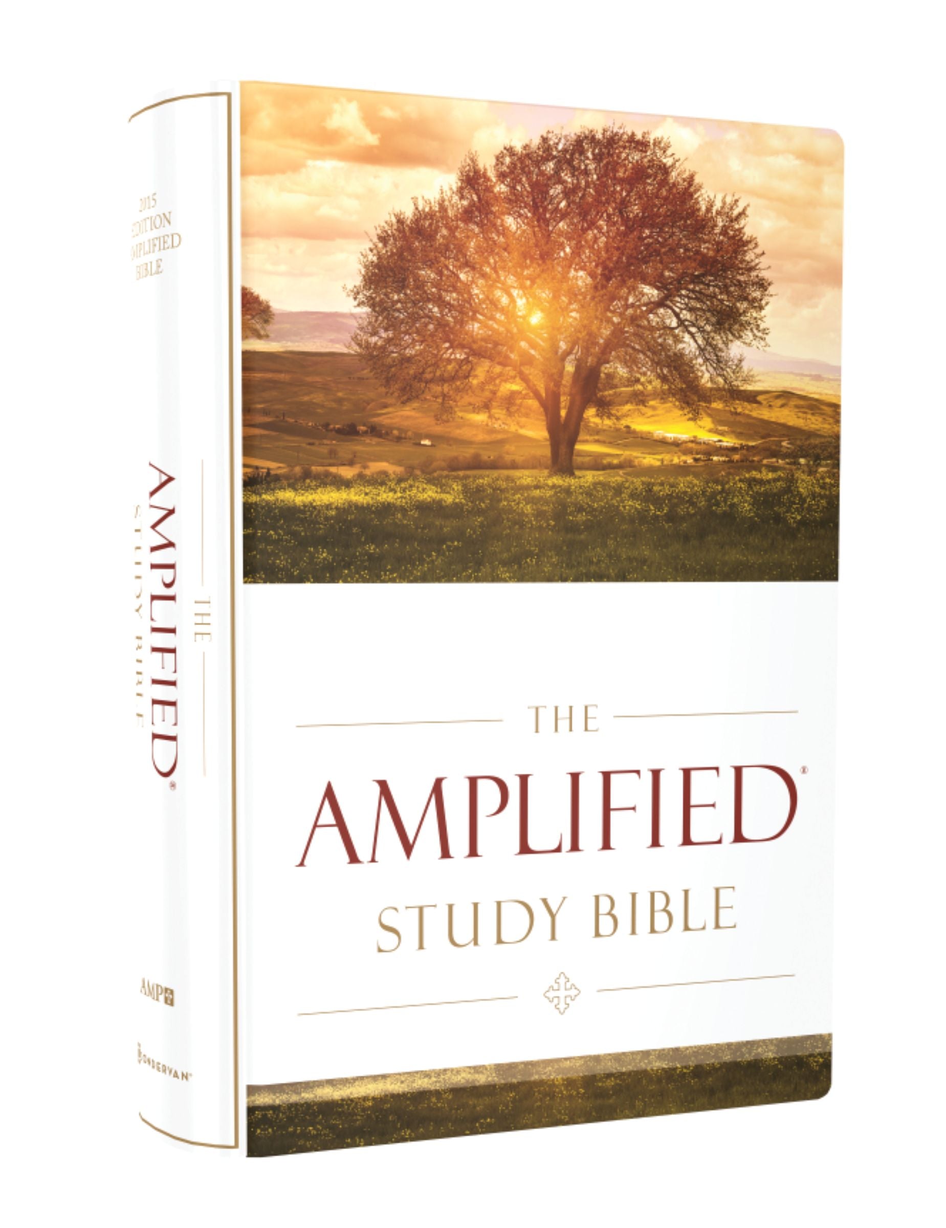 Amplified Study Bible (Black Letter Edition)