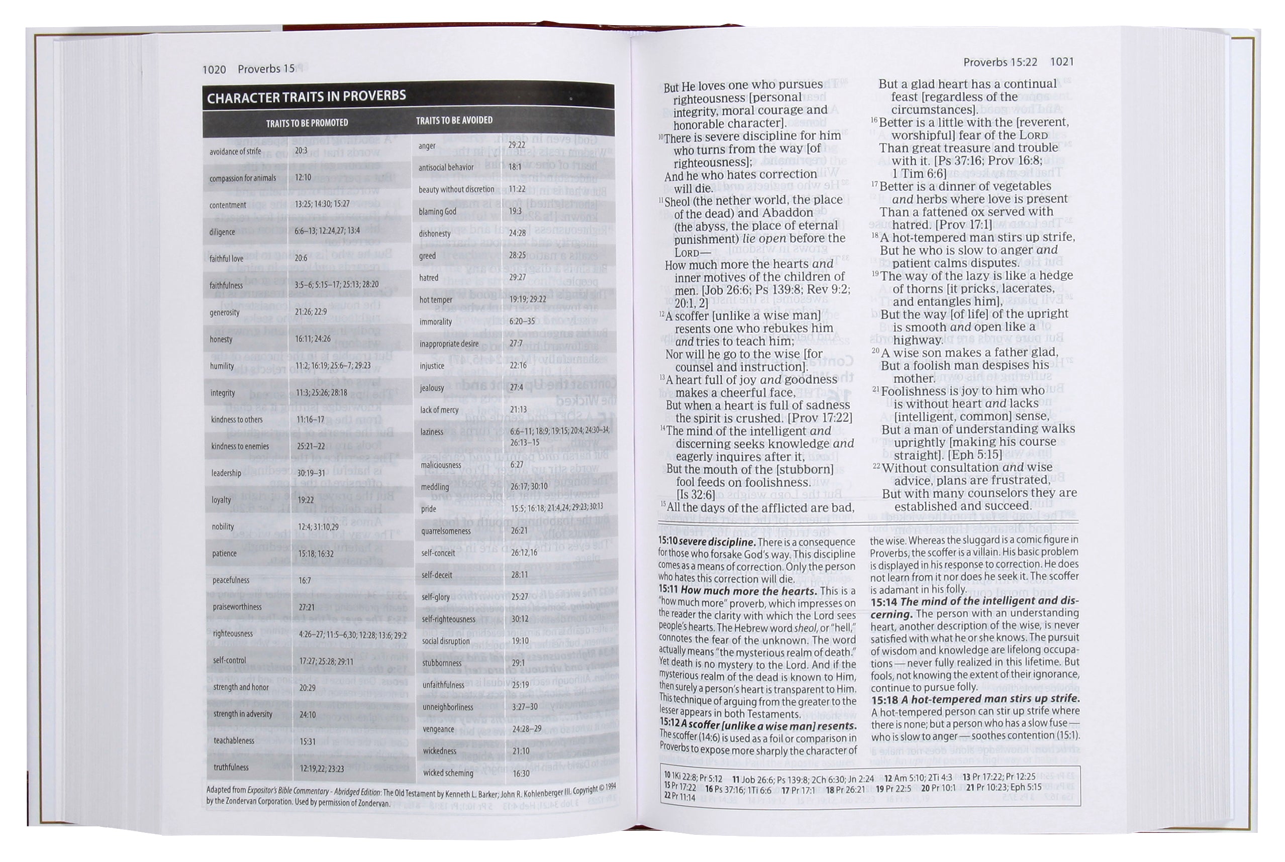 Amplified Study Bible (Black Letter Edition)