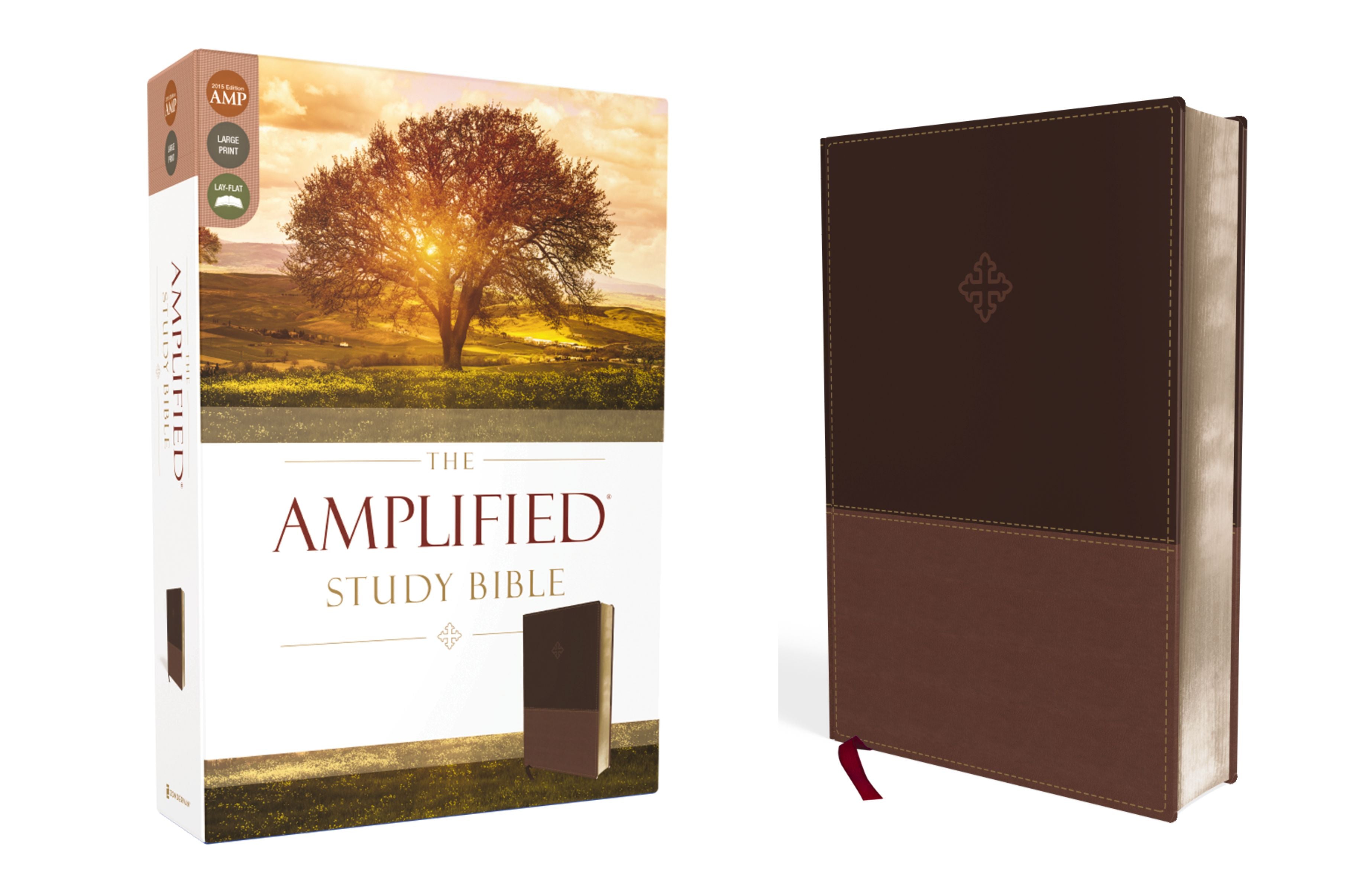 Amplified Study Bible Brown (Black Letter Edition)