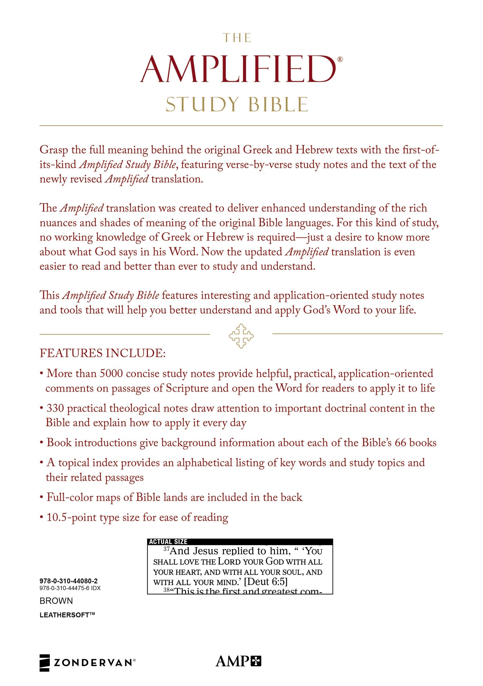 Amplified Study Bible Brown (Black Letter Edition)