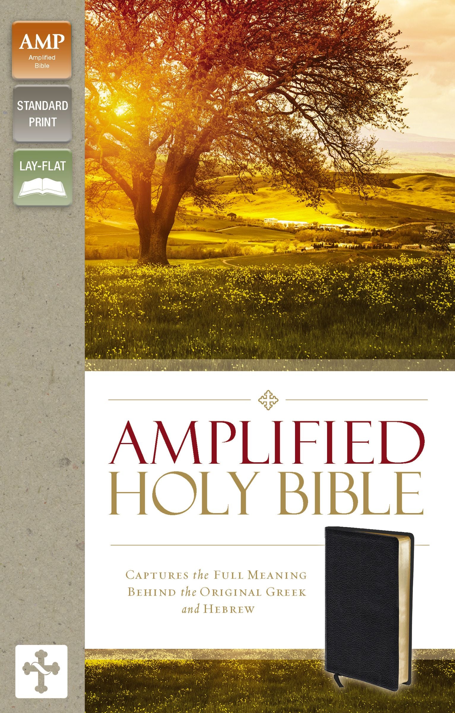 Amplified Holy Bible Black (Black Letter Edition)
