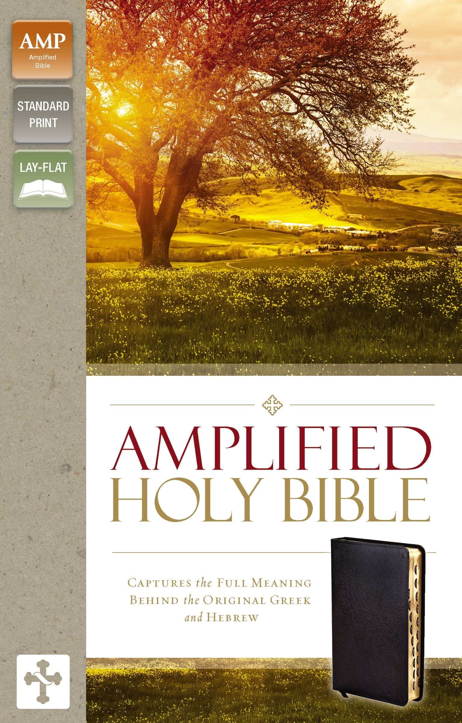 Amplified Holy Bible Indexed Black (Black Letter Edition)