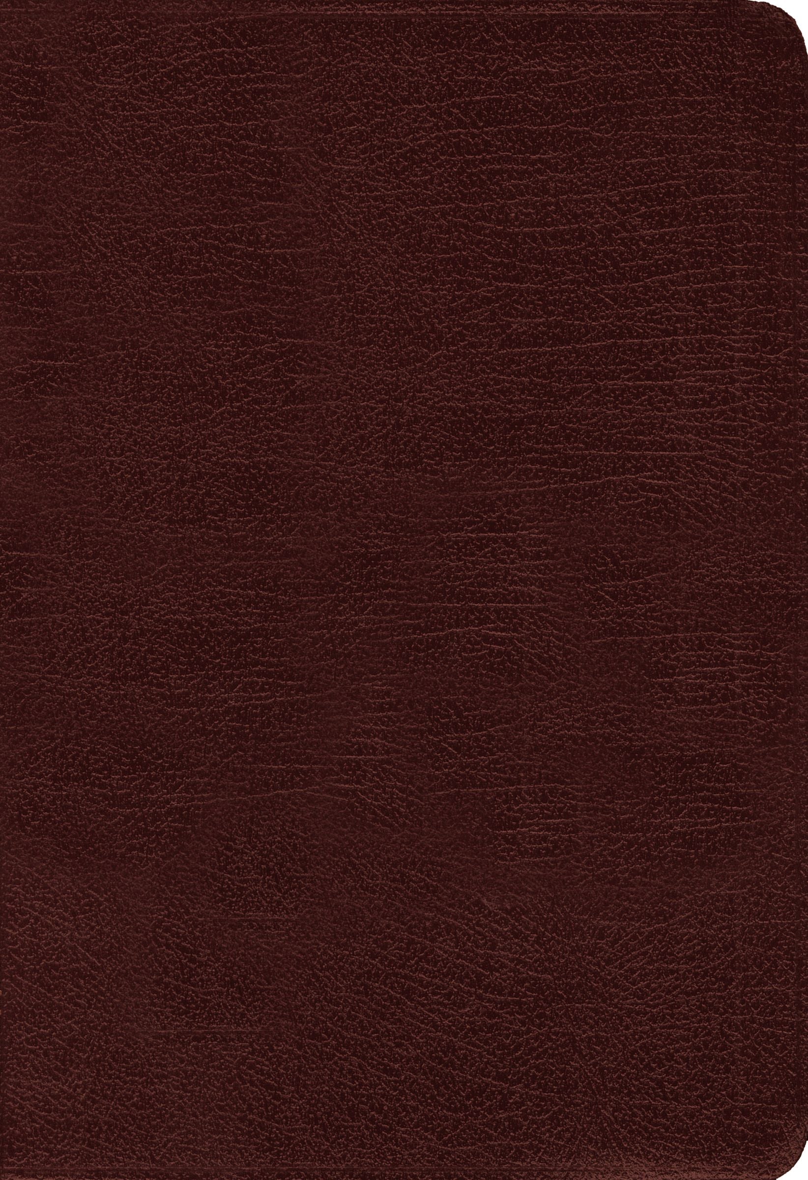 Amplified Holy Bible Burgundy (Black Letter Edition)