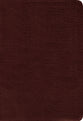 Amplified Holy Bible Burgundy (Black Letter Edition)