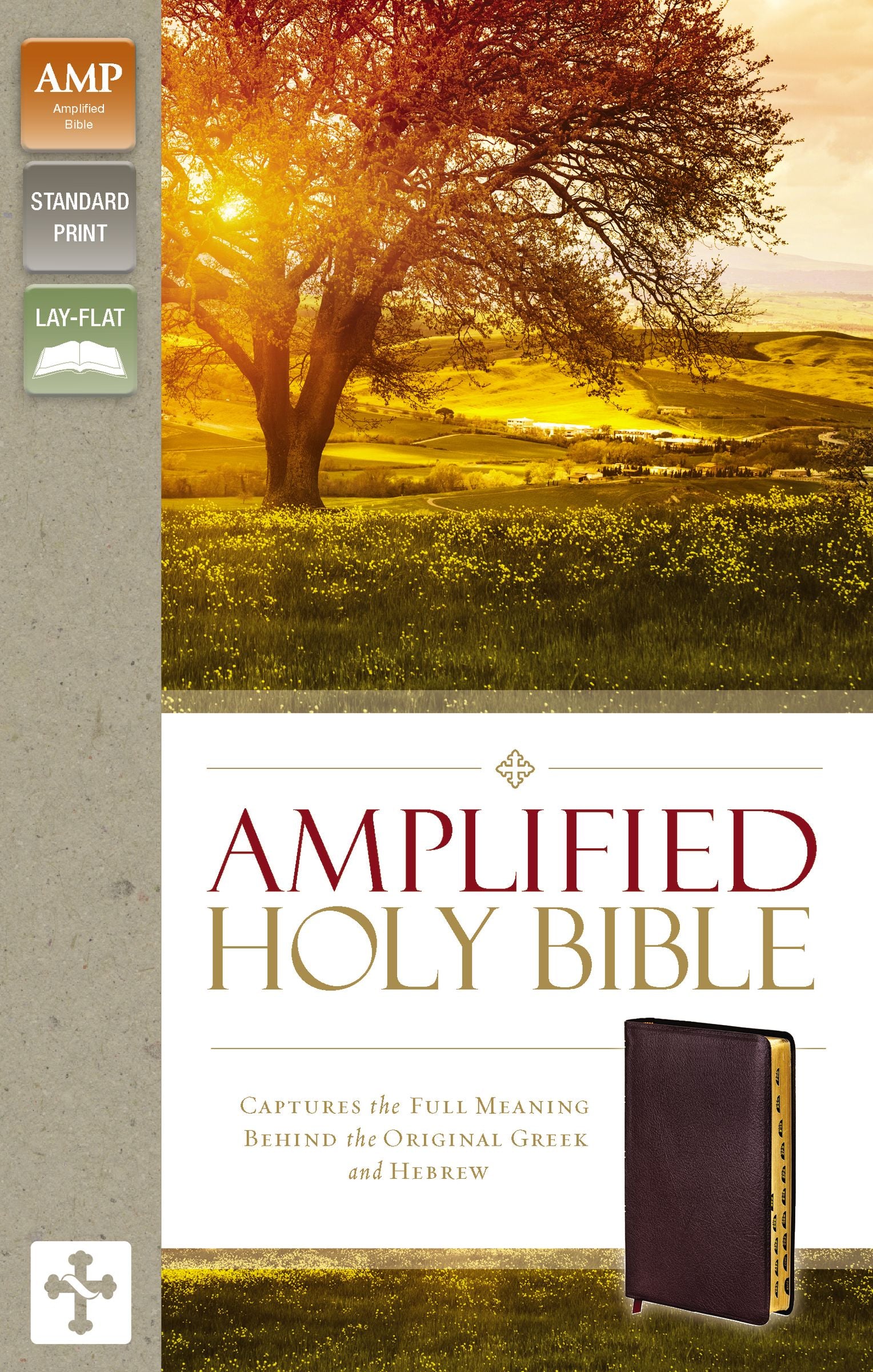 Amplified Holy Bible Indexed Burgundy (Black Letter Edition)