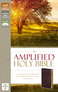 Amplified Holy Bible Indexed Burgundy (Black Letter Edition)