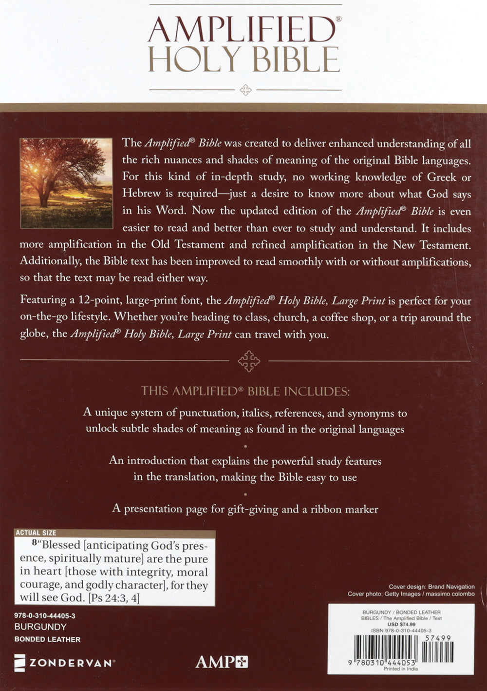 Amplified Holy Bible Large Print Burgundy (Black Letter Edition)