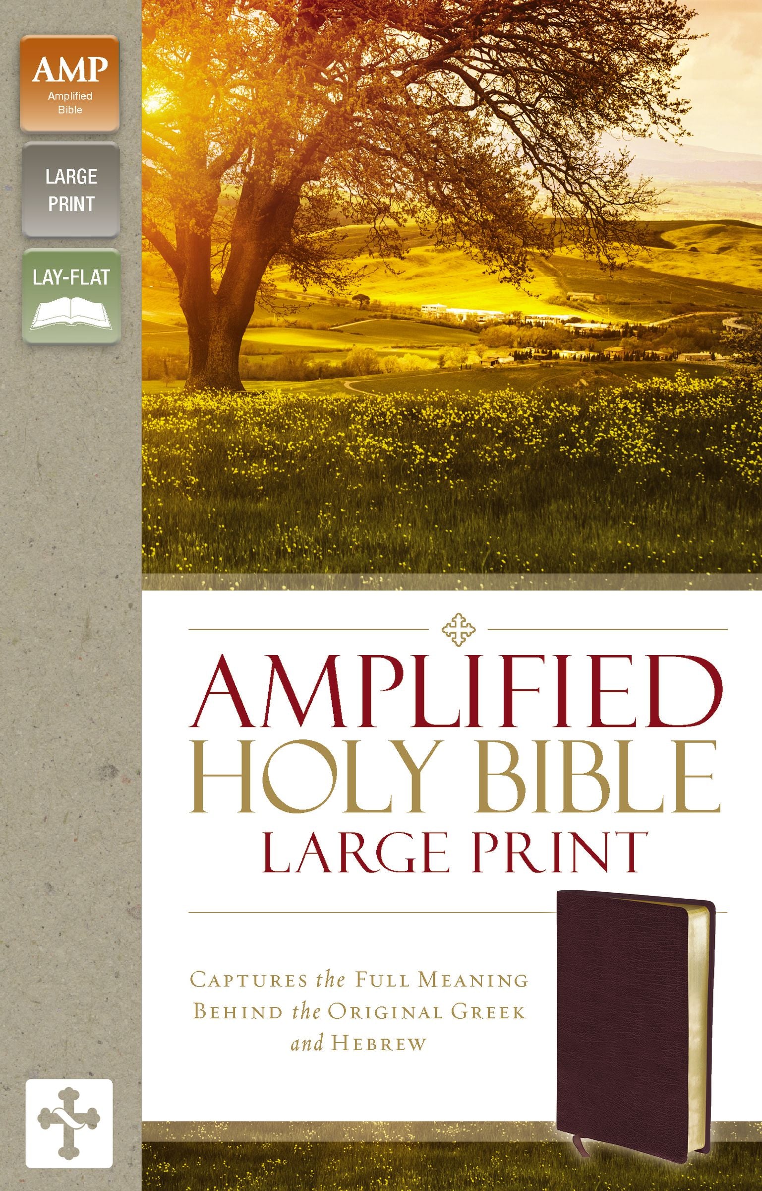 Amplified Holy Bible Large Print Burgundy (Black Letter Edition)