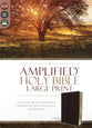Amplified Holy Bible Large Print Burgundy (Black Letter Edition)