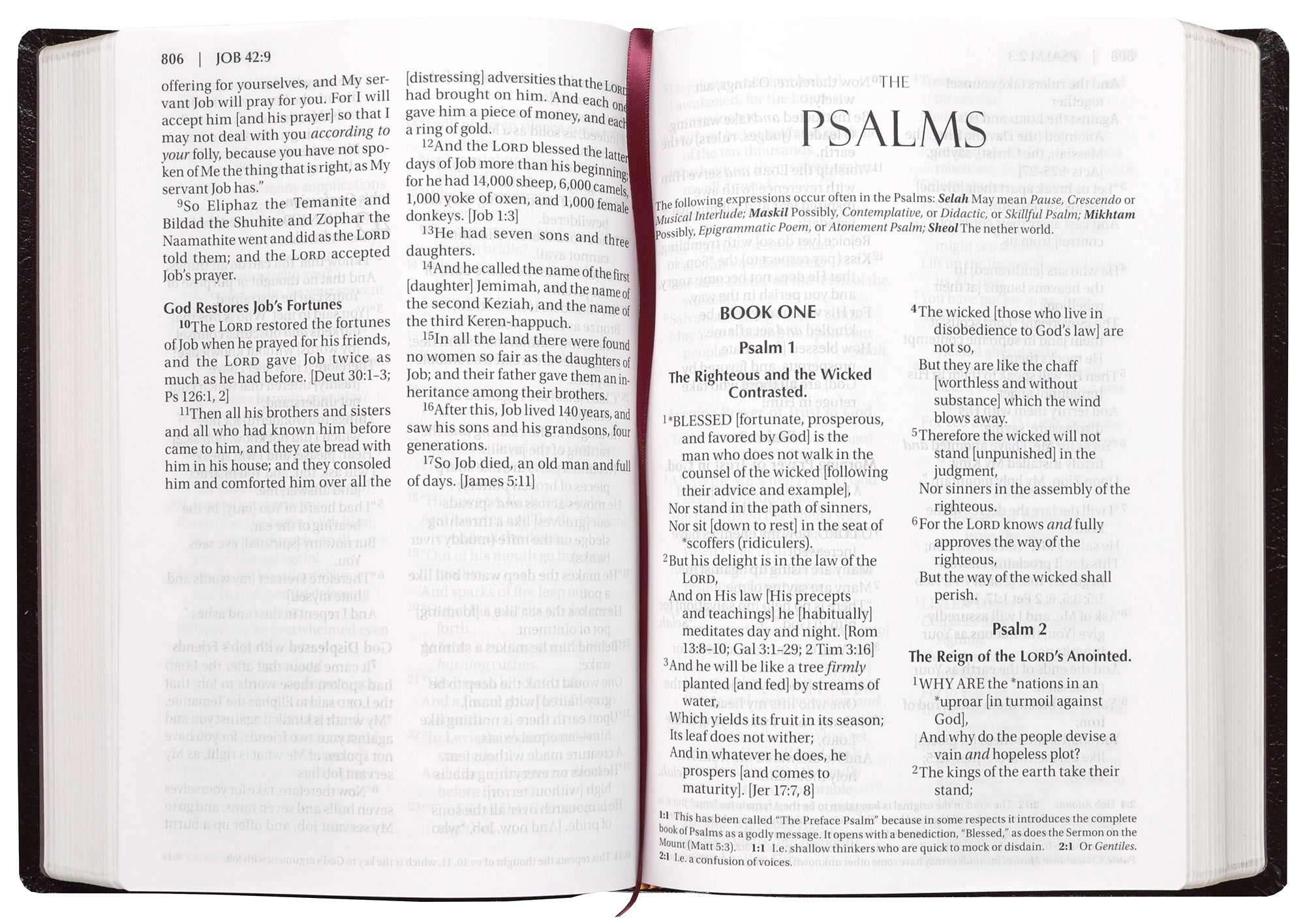 Amplified Holy Bible Large Print Burgundy (Black Letter Edition)