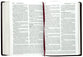 Amplified Holy Bible Large Print Burgundy (Black Letter Edition)
