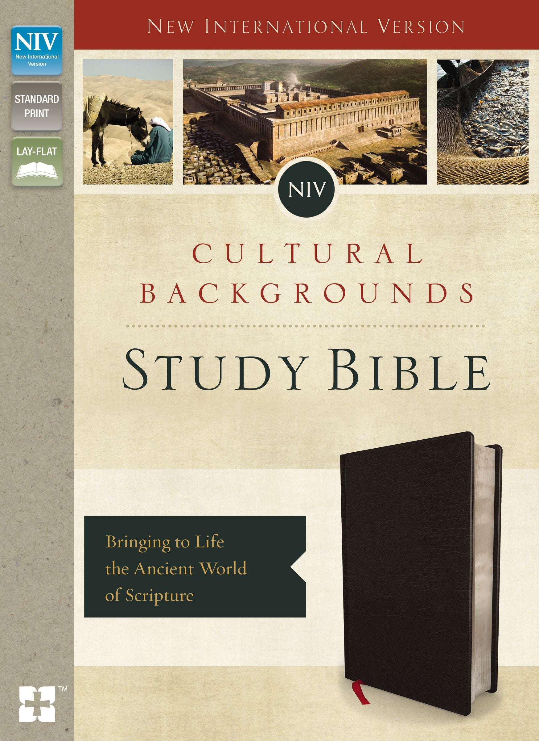 NIV Cultural Backgrounds Study Bible Indexed (Red Letter Edition)
