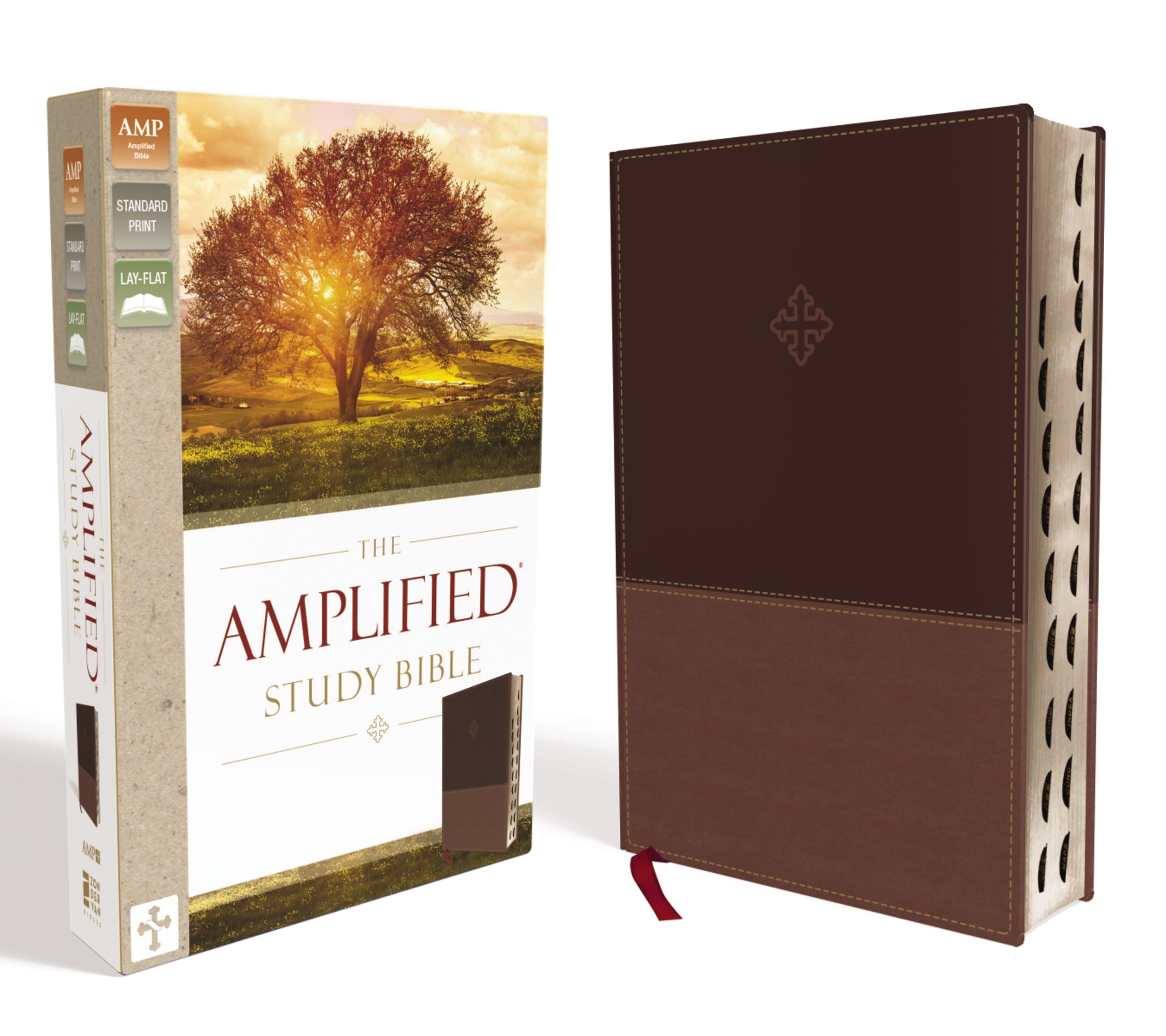 Amplified Study Bible Brown Indexed (Black Letter Edition)