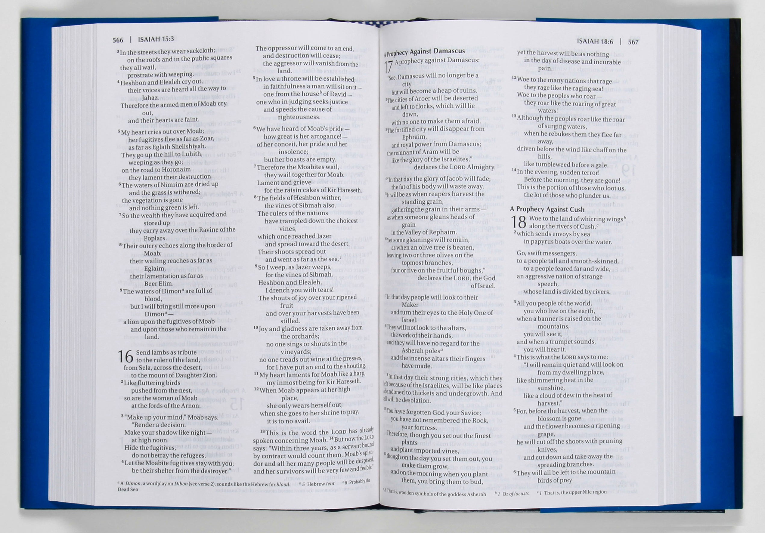 NIV Value Pew and Worship Bible Blue (Black Letter Edition)