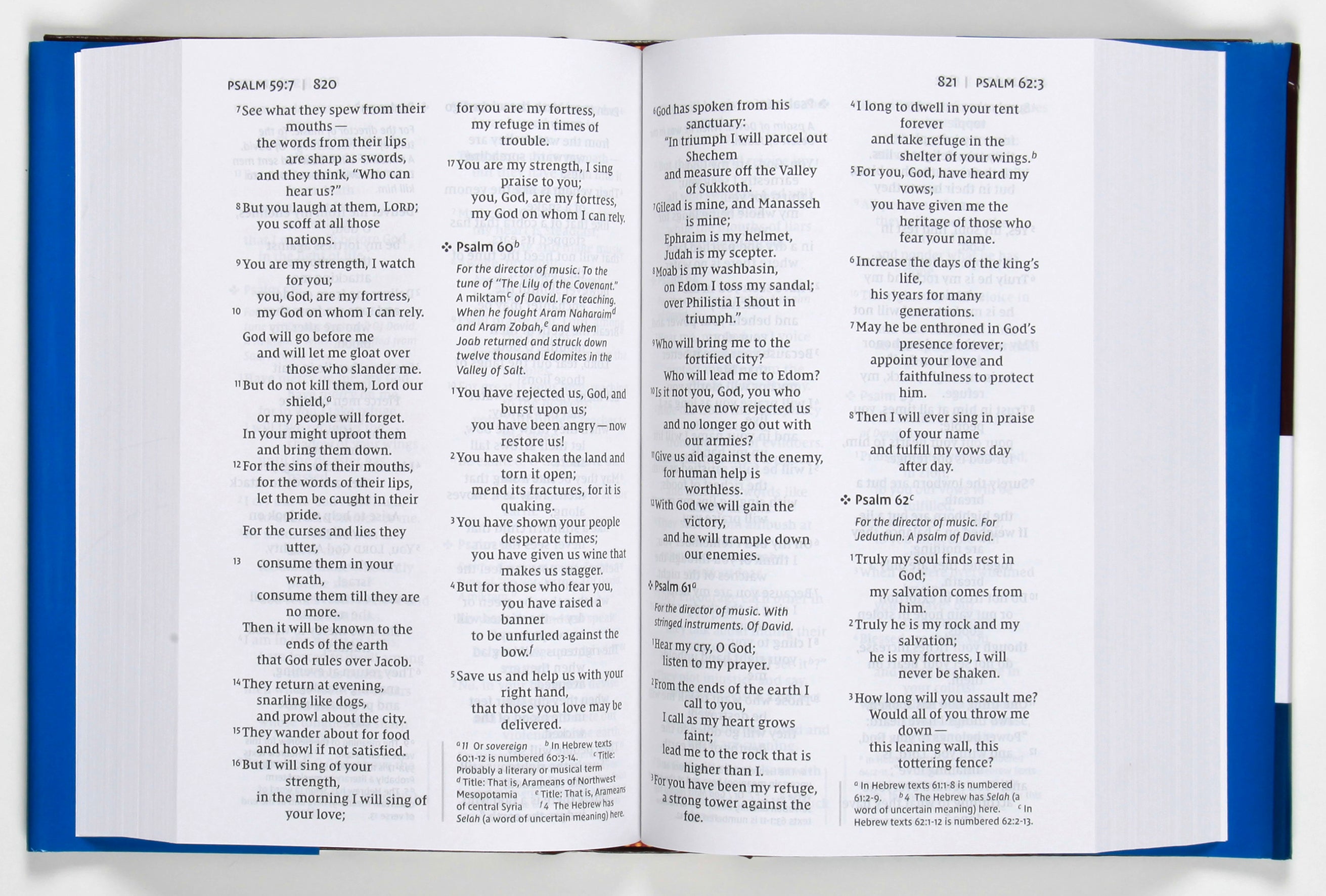 NIV Pew and Worship Bible Large Print Burgundy (Black Letter Edition)