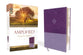 Amplified Study Bible Purple (Black Letter Edition)