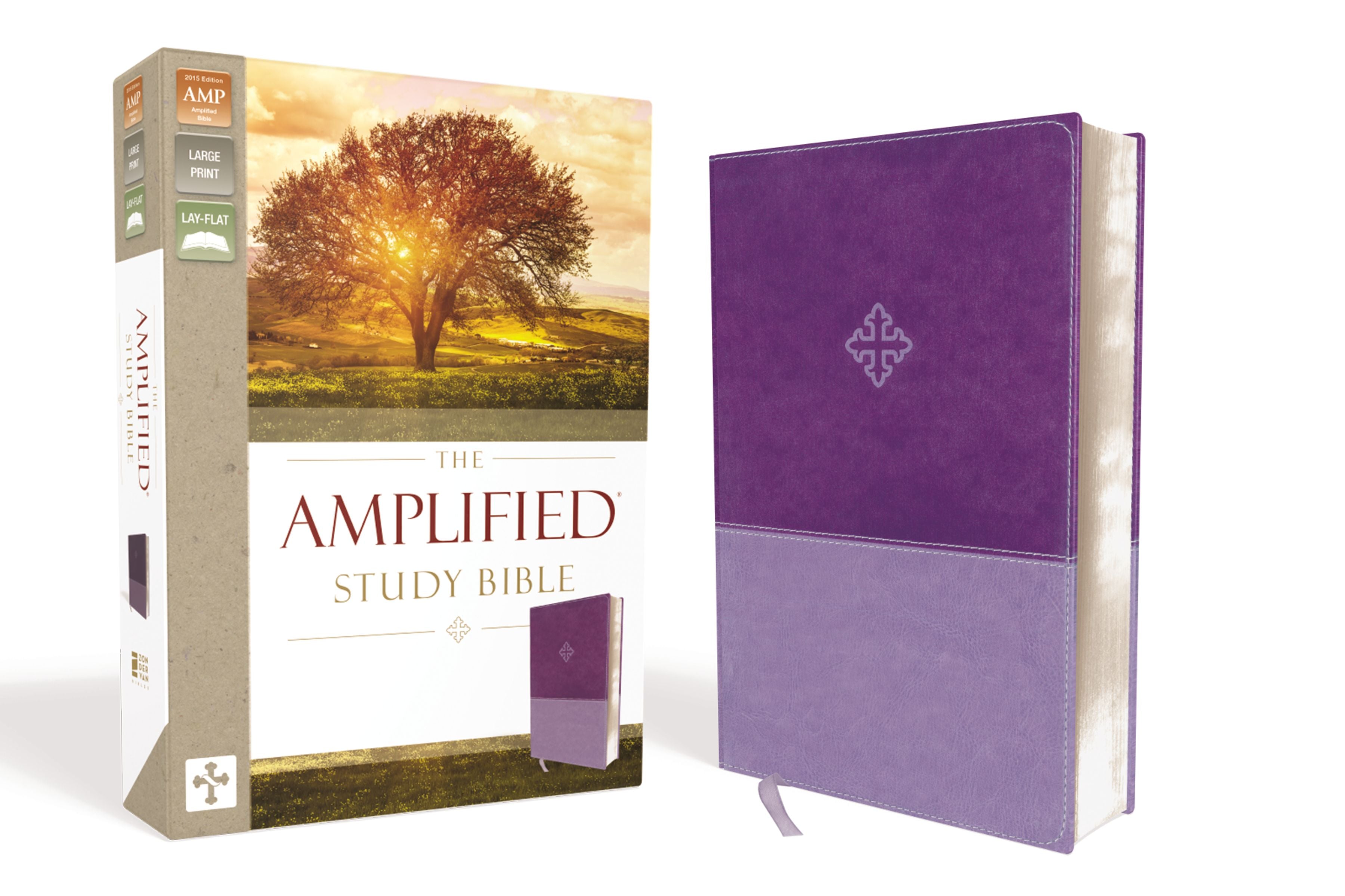 Amplified Study Bible Purple (Black Letter Edition)