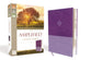 Amplified Study Bible Purple (Black Letter Edition)