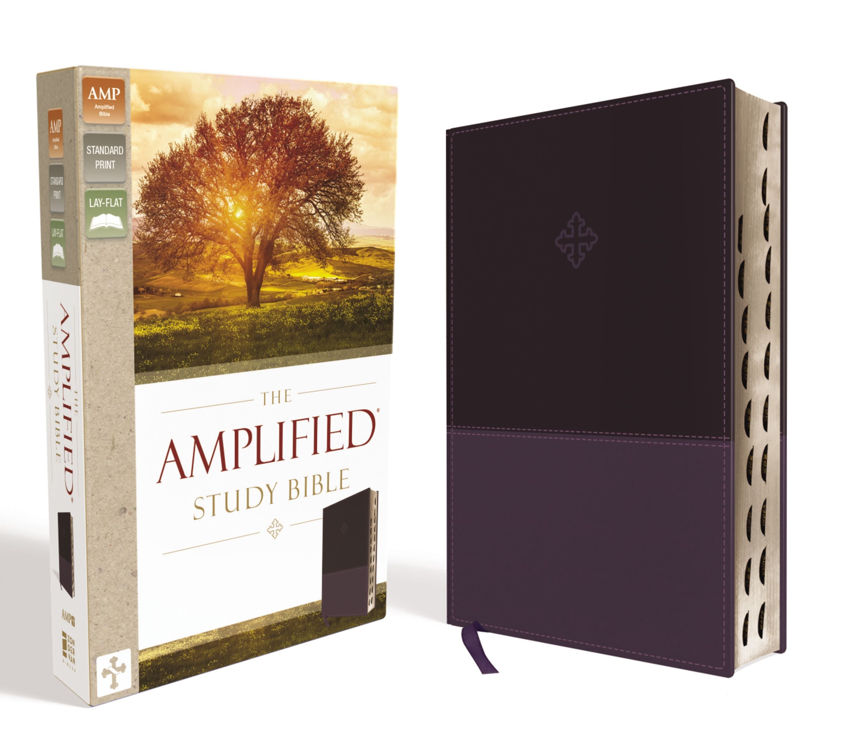 Amplified Study Bible Purple Indexed (Black Letter Edition)