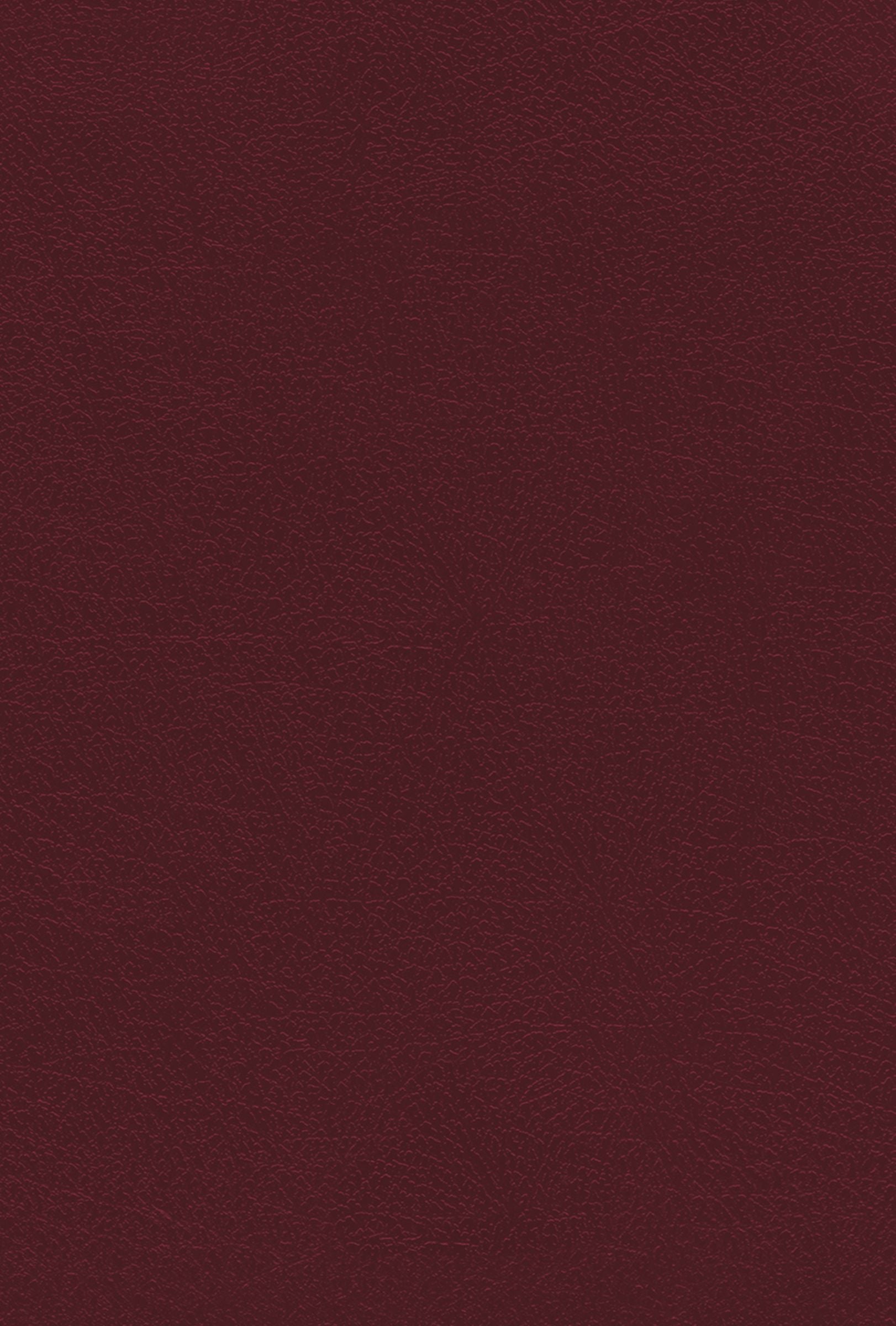 NIV KJV NASB Amplified Parallel Bible Burgundy